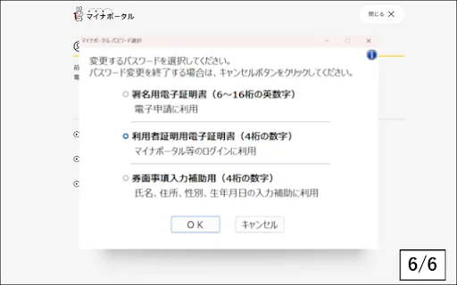 I-download ang MynaPortal Chrome Extension para sa Online Services - Screenshot 6