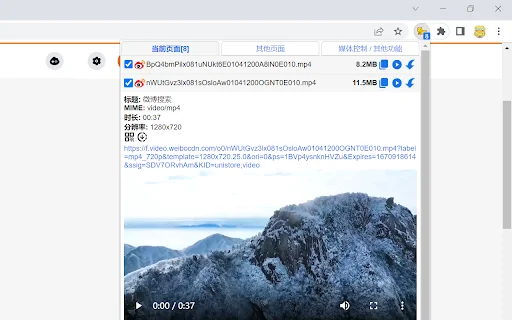 I-download ang cat-catch: Pinakamahusay na Video Downloader Extension - Screenshot 1