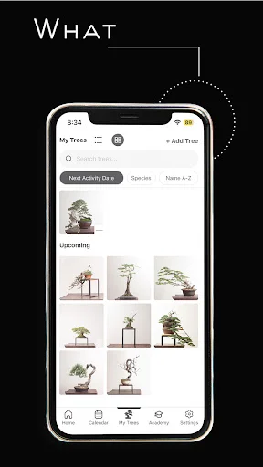 I-download ang Mirai Mobile – Ang Iyong Personal na Bonsai Guide - Screenshot 15