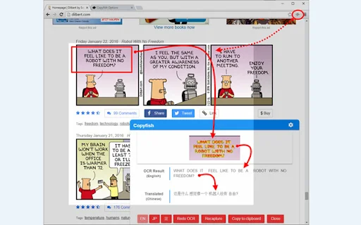 Copyfish Free OCR Software: Kumuha ng Text mula sa Imahe at Video - Screenshot 2