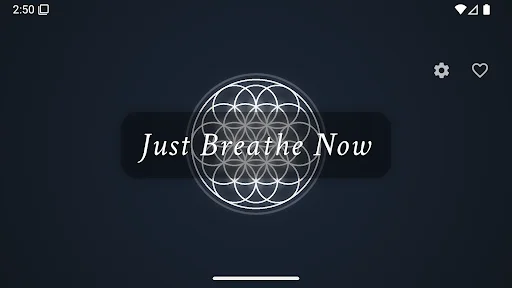 I-download ang Just Breathe Now – Box Breathing App sa Android - Screenshot 8