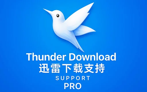 Thunder Download Support Pro – Mabilis na Video at Bulk Downloader - Screenshot 1