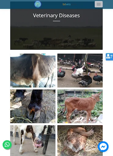 I-download ang bdvets – Veterinary Appointments at Telehealth App - Screenshot 6