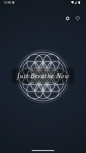 I-download ang Just Breathe Now – Box Breathing App sa Android - Screenshot 1