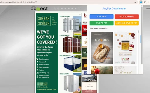 I-download ang Anyflip Downloader: I-save ang Flipbooks bilang PDF - Screenshot 2