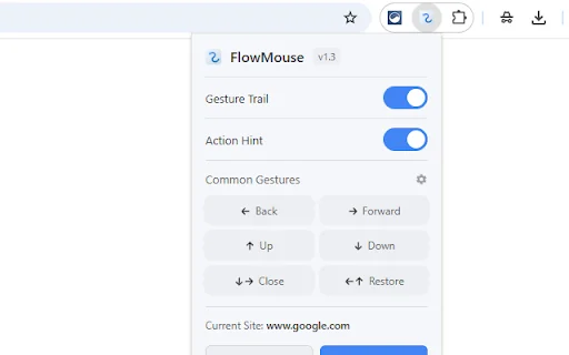FlowMouse: Pinakamahusay na Mouse Gesture Extension para sa Chrome - Screenshot 5